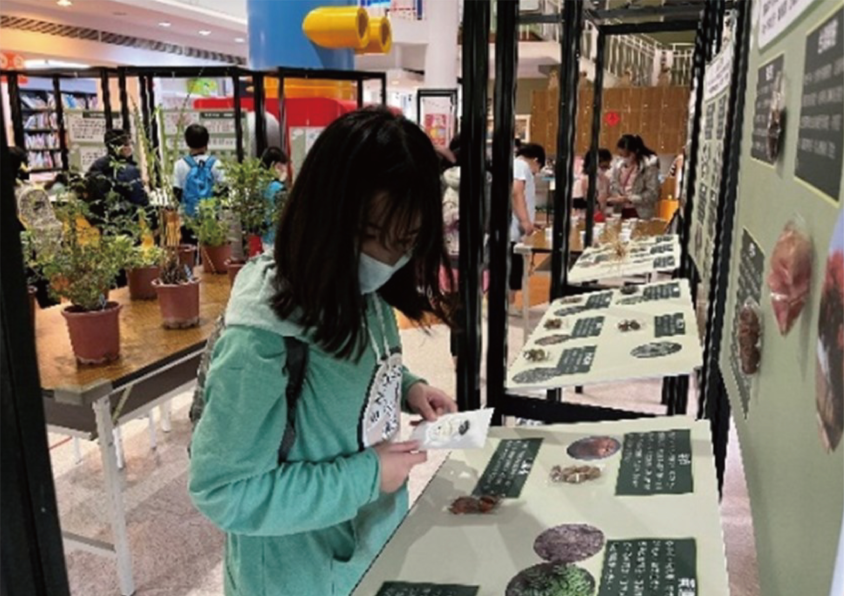 〈110〉兒童館植物種籽展 
